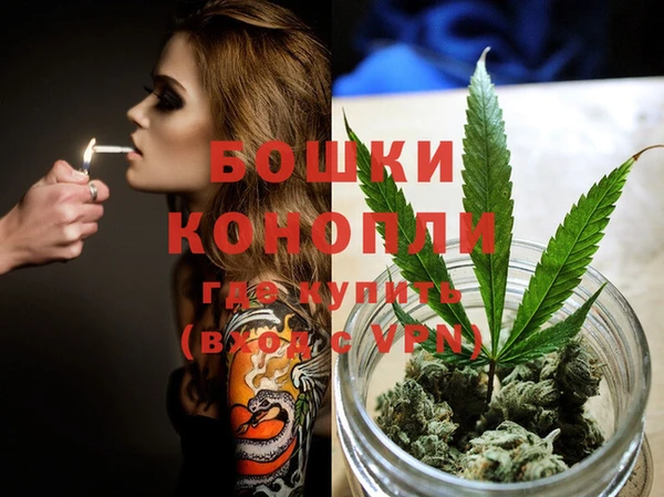 молекула духа Заводоуковск