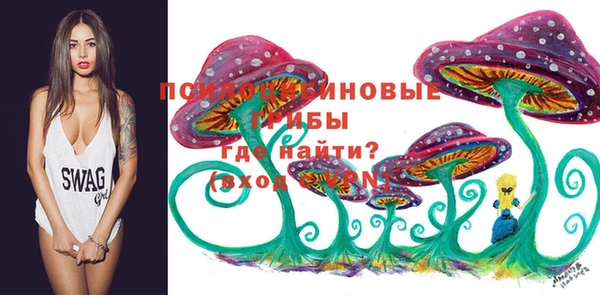 МДМА Заволжск