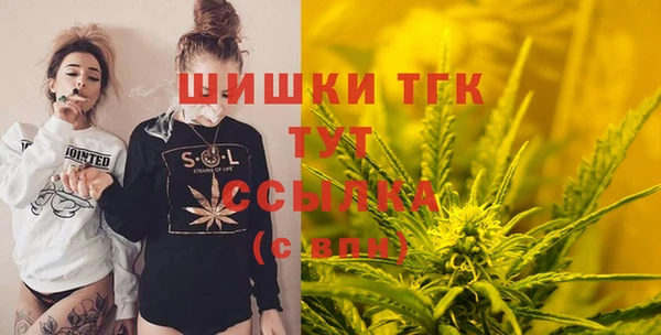 молекула духа Заводоуковск