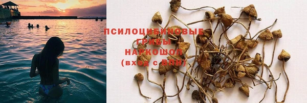 мескалин Заволжье