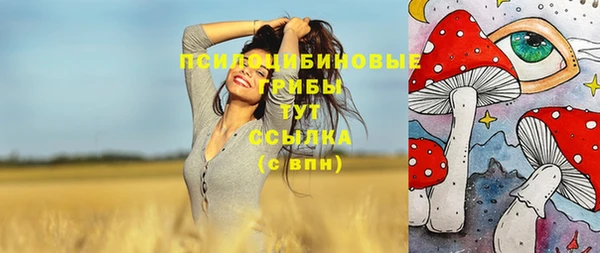 МДМА Заволжск