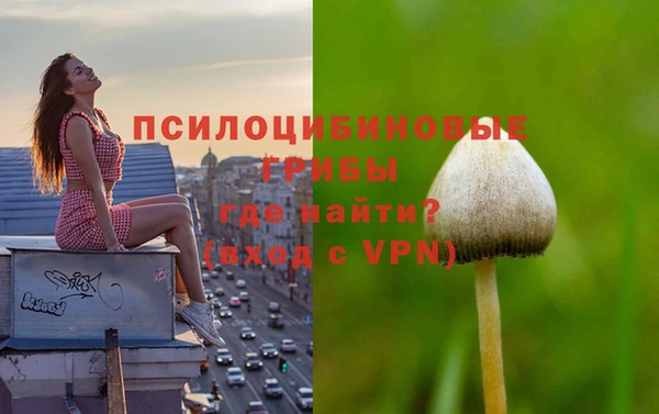 молекула духа Заводоуковск