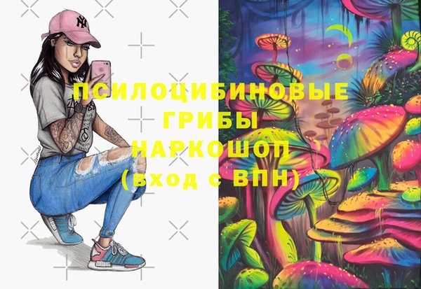 молекула духа Заводоуковск