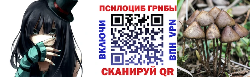 Купить закладки  Заводоуковск  Галлюциногенные грибы Cubensis 